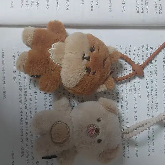 [BUNJANG] DAY6 쁘띠멀즈 케/돈 Doll Keyring / 데이식스 쁘띠멀즈 테닝 케/돈