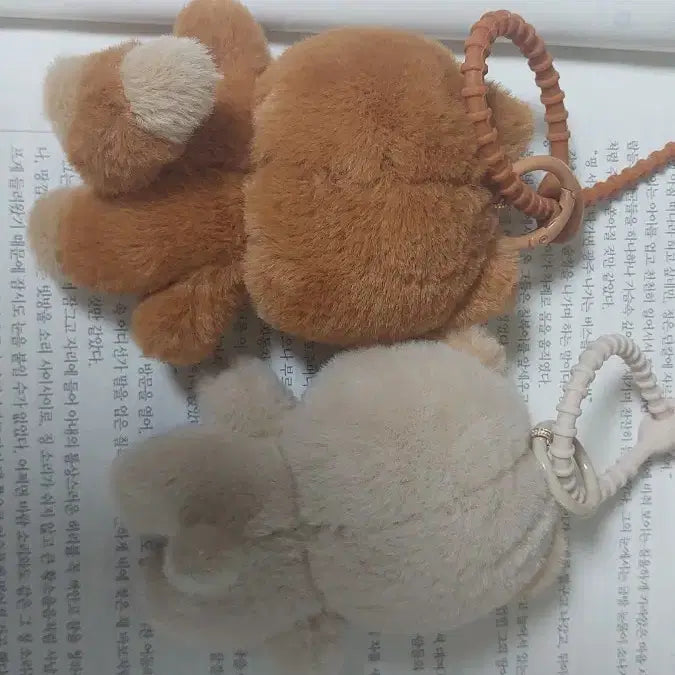 [BUNJANG] DAY6 쁘띠멀즈 케/돈 Doll Keyring / 데이식스 쁘띠멀즈 테닝 케/돈