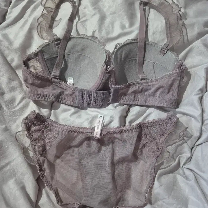[BUNJANG] Miri's Purple Lace Bra and Panty Set / 연보라 레이스 브라/팬티 세트 퍼플 75C/M 미리님