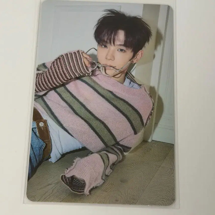 [BUNJANG] RIIZE All of You Tokyo Dome Version Shotaro Photocard / 라이즈 All of you 도쿄돔 버전 쇼타로 포토카드 포카 판매