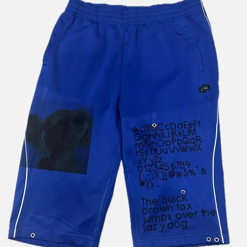 [BUNJANG] Vintage Graphic Printed Track Pants Shorts / 빈티지 그래픽 프린팅 7부바지 반바지 트랙팬츠 농구바지
