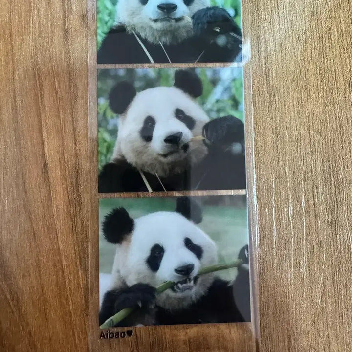 [BUNJANG] AIBao Life Four Cuts / 아이바오 인생네컷