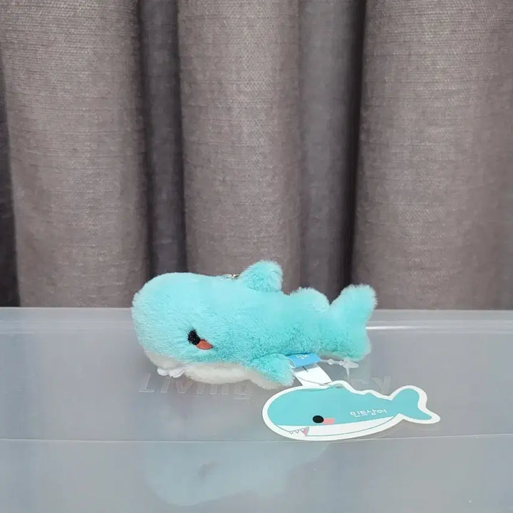 [BUNJANG] Mint Shark 8cm Plush Keyring / 민트상어 보들 인형 키링 8cm 새 상품 가방고리 물고기 봉제인형