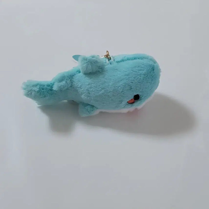 [BUNJANG] Mint Shark 8cm Plush Keyring / 민트상어 보들 인형 키링 8cm 새 상품 가방고리 물고기 봉제인형