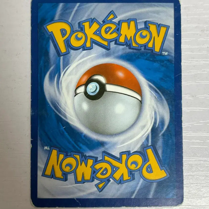 [BUNJANG] Pokemon Card Sleeves / [귀여운 포켓몬카드] 오오야마 슬리퍼