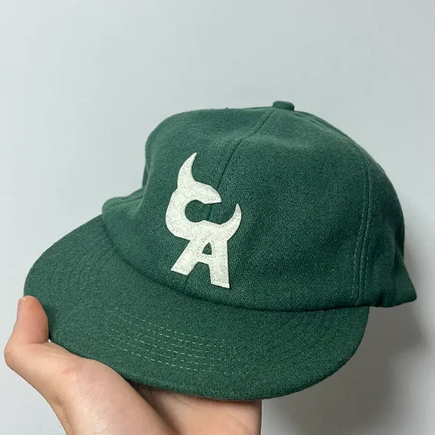[BUNJANG] Tyler, the Creator Chromatica Tour Hat / 타일러 더 크리에이터 크로마코피아 모자 새상품