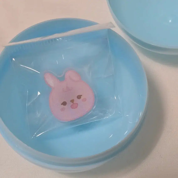 [BUNJANG] DAY6 Wonpil DAY6nimals Jibbitz / 쁘띠멀즈 필 PIL 지비츠 원필 데이식스 데니멀즈