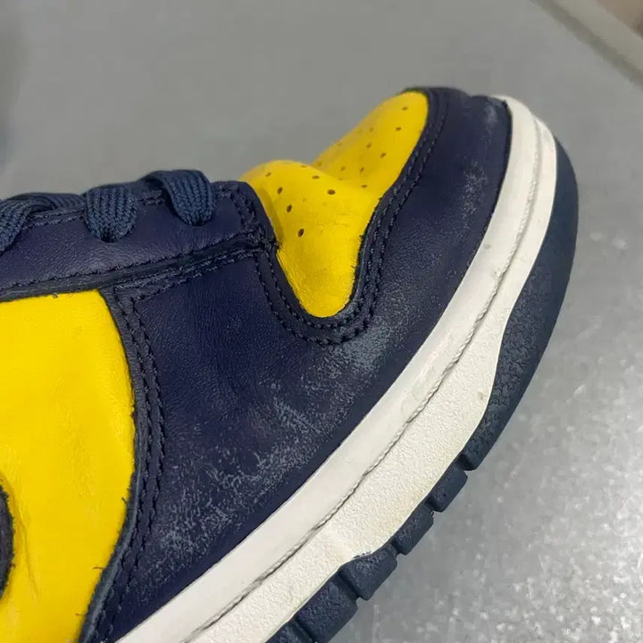[BUNJANG] Nike Dunk Low Retro Michigan Sneakers 280 / 나이키 덩크 로우 레트로 미시건 280