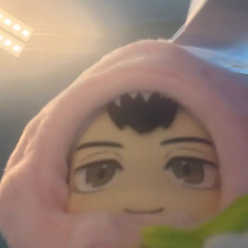 [BUNJANG] Anime Goods Random Box / 애니 랜박