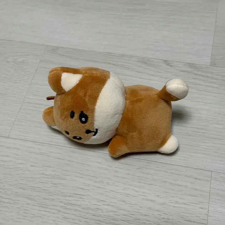 [BUNJANG] DAY6 Young K Denimalz Hand Warmer / 데이식스 핸드워머 영케이 케 데니멀즈