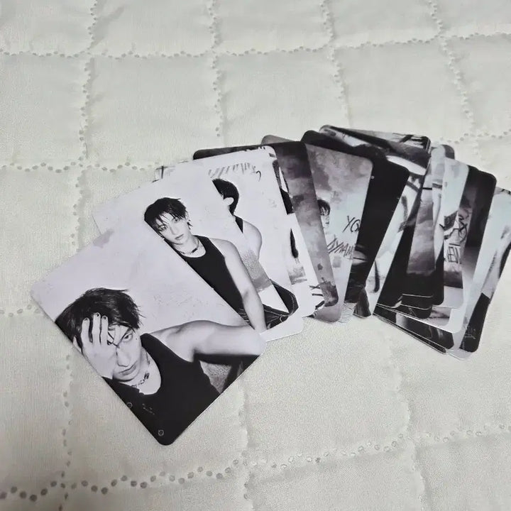 [SOLD OUT] 해피버스트데이 세븐틴 도겸 캐럿반 포카