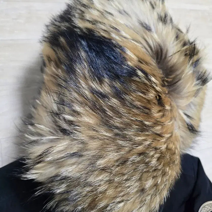 [BUNJANG] Dsquared2 Black Raccoon Fur Jacket / 디스퀘어드2 지퍼라쿤 블랙 여성 38 (55~66)