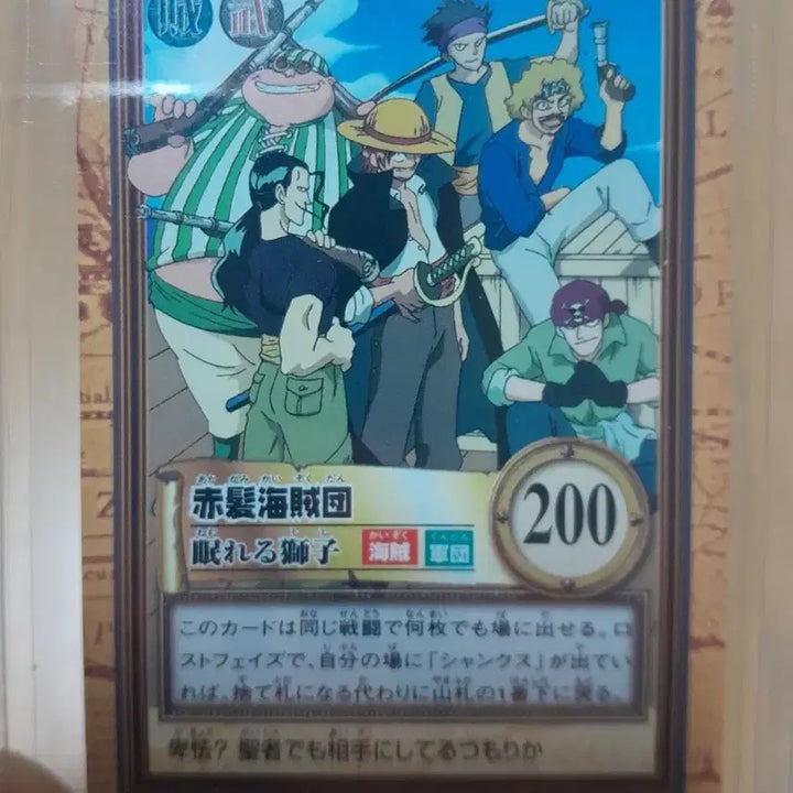 [BUNJANG] One Piece 2000 Normal Card Bundle / 재팬 2000년 원피스 고전 노멀카드 일괄