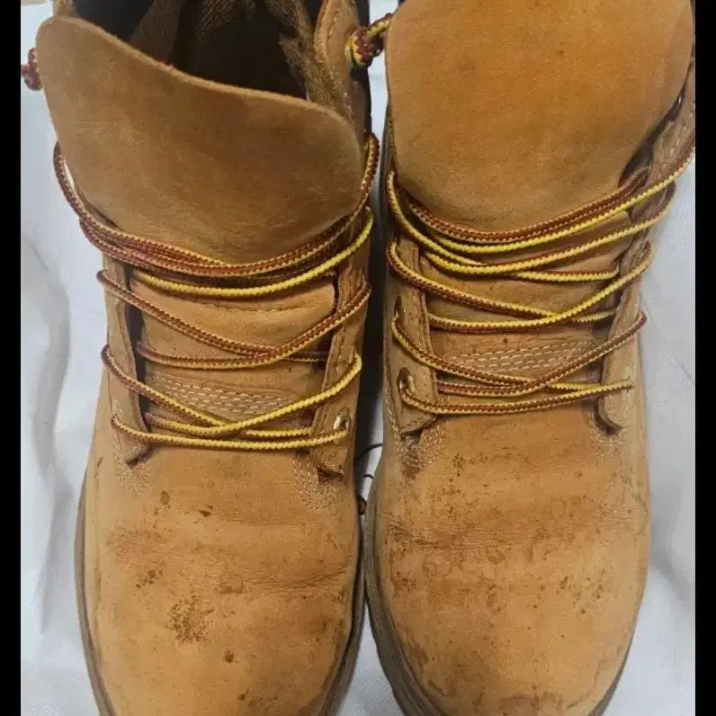 [BUNJANG] Timberland 6-Inch Yellow Work Boots / 팀버랜드 6인치 옐로우 워커 부츠 250mm