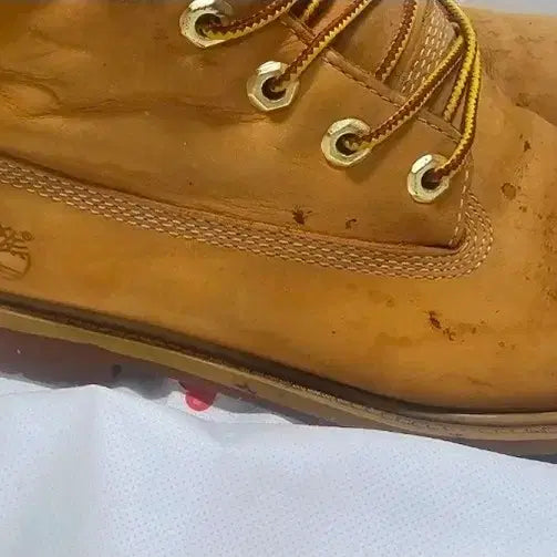 [BUNJANG] Timberland 6-Inch Yellow Work Boots / 팀버랜드 6인치 옐로우 워커 부츠 250mm
