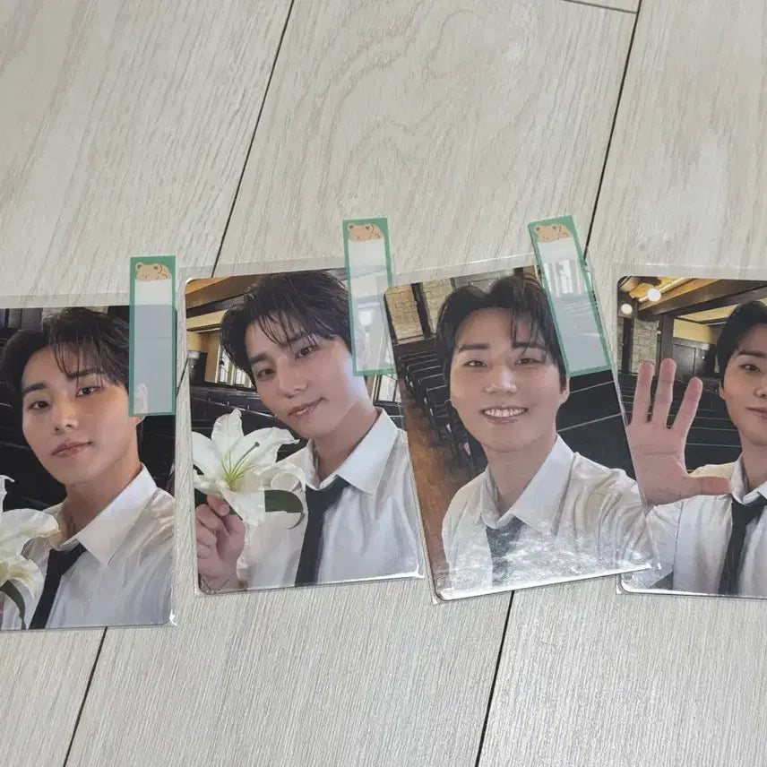 [BUNJANG] Young K Dicon Photocard Bundle Set / 영케이 디아이콘 포카 일괄