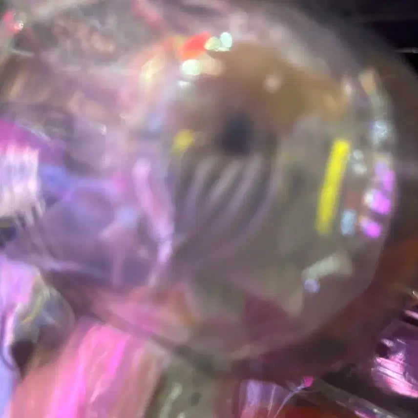 [BUNJANG] Good Smile Arts 키르아 넨도로이드 Figure / 키르아 넨도로이드 1184 짭입니다 짭이에요