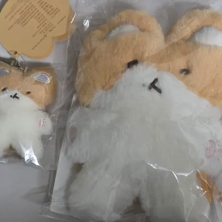[BUNJANG] Unspecified Group Magnet & Keychain Bundle Set / 터래기 링래기 마그넷래기