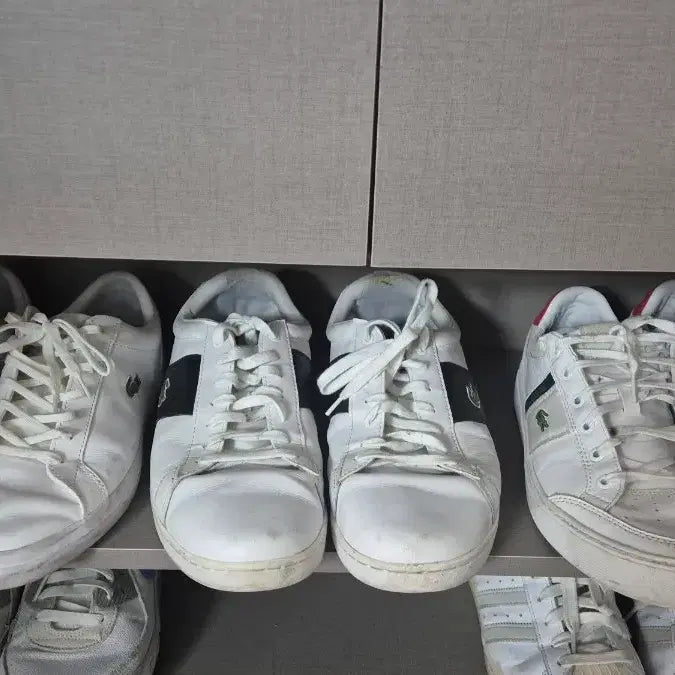 [BUNJANG] Lacoste Sneakers (Set of 3) / 라코스테 스니커즈 3개