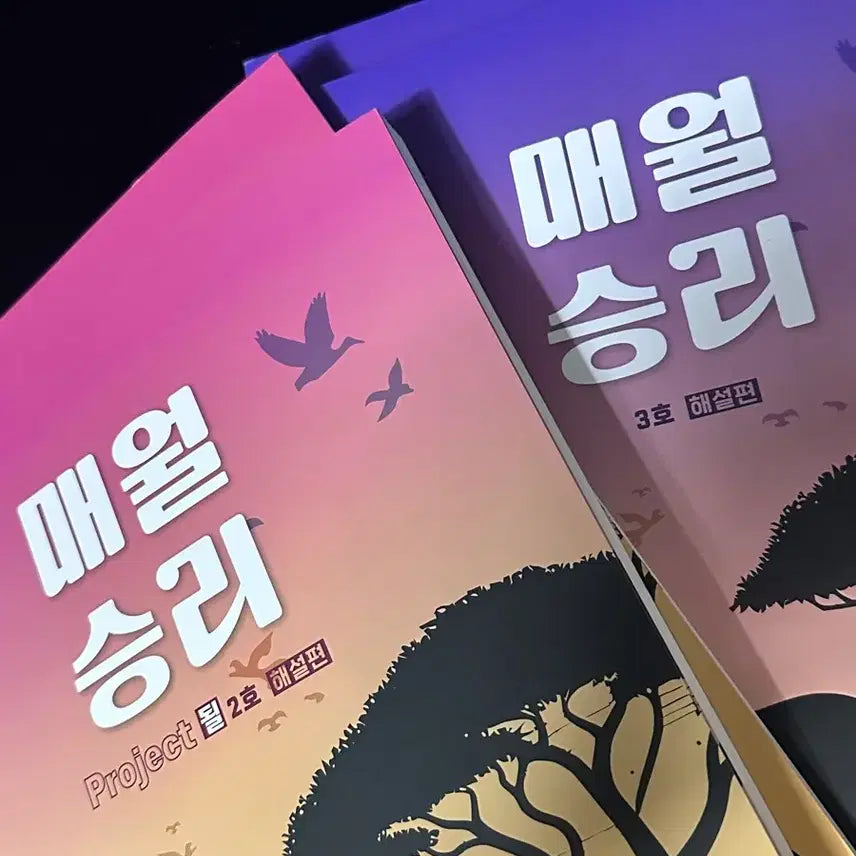 [BUNJANG] Maewolseungri Vol. 2, 3 / 될 매월승리 2호, 3호