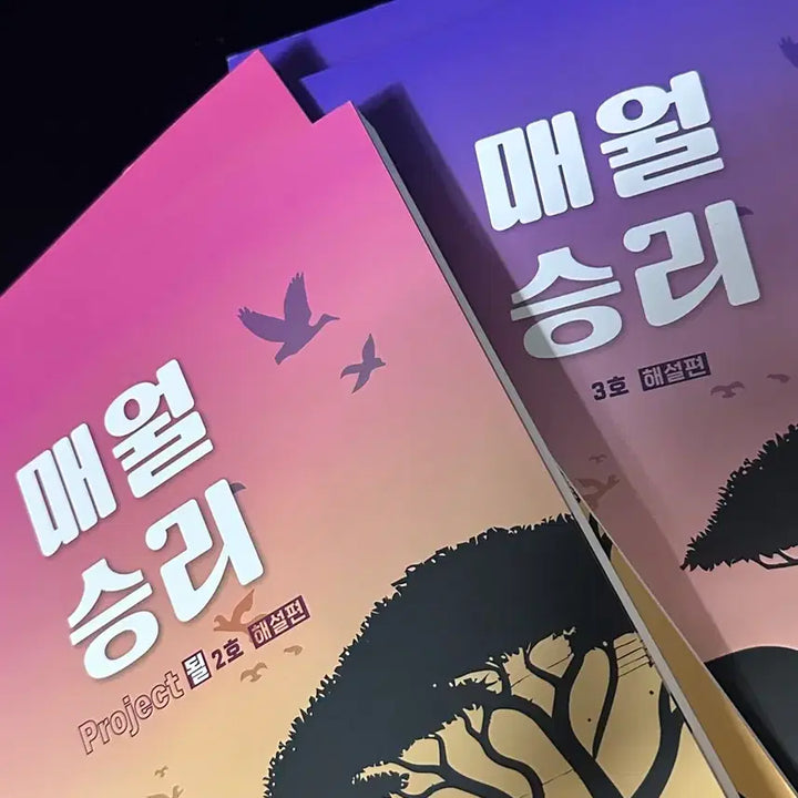 [BUNJANG] Maewolseungri Vol. 2, 3 / 될 매월승리 2호, 3호