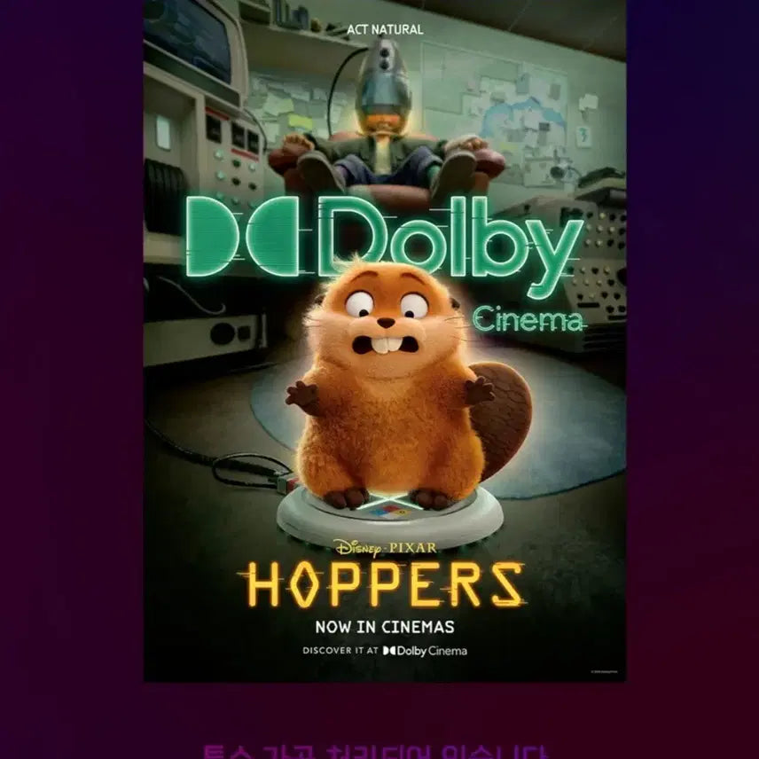 [BUNJANG] Hopper's Dolby Poster / 호퍼스 돌비 포스터