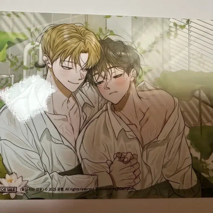 [BUNJANG] Flower Pond Header Photo / 꽃이지는 연못 헤더사진