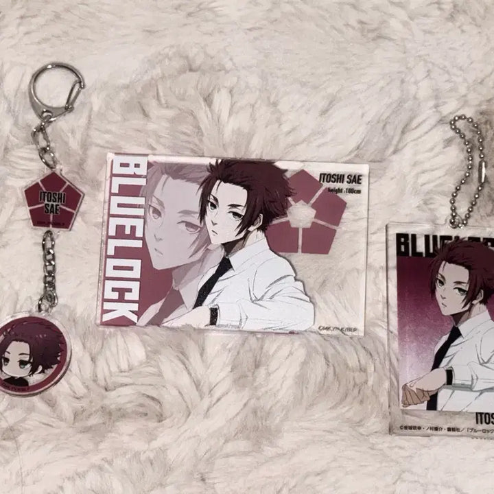 [BUNJANG] Blue Lock Itoshi Sae Baseyard Goods Bundle Set / 블루록 이토시사에 베이스야드 굿즈 일괄)