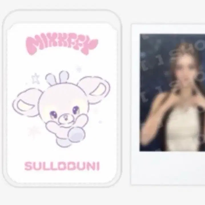 [BUNJANG] NMIXX Sullyoon Photocard Holder / 미개봉) 설뿌니 엔믹스 설윤 카드홀더