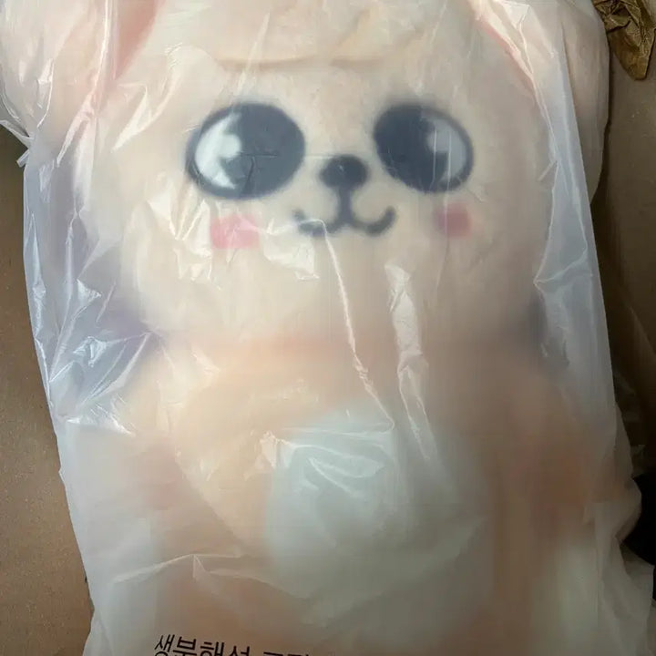 [BUNJANG] SKZOO Teddy Bear Plushie / [미개봉] 스키주 테디베어 퍼핌