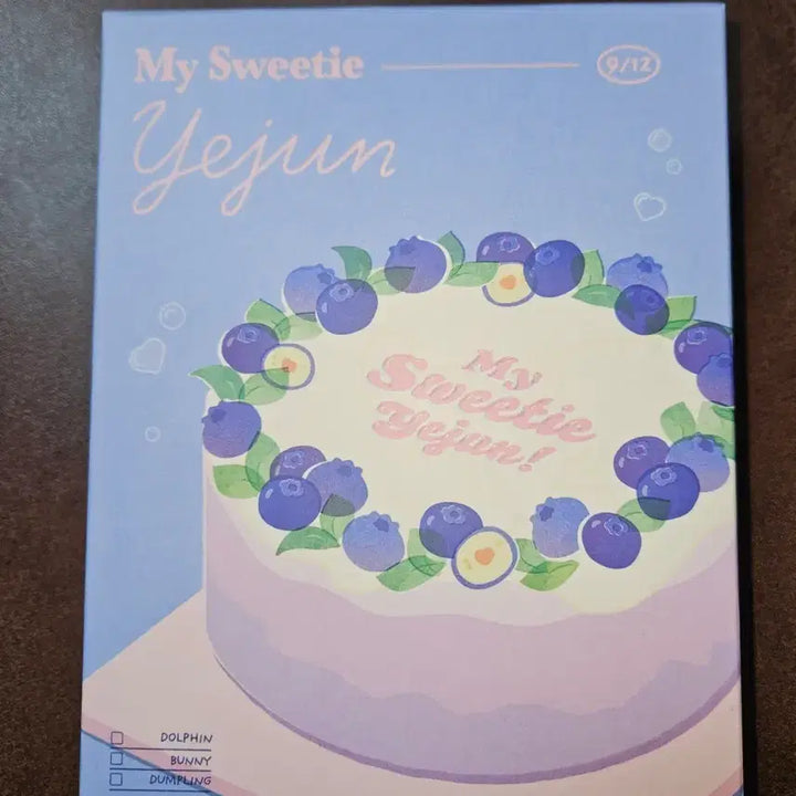 [BUNJANG] PLAVE Nam Ye Jun 2024 Birthday Kit / 플레이브 남예준 2024 생일키트