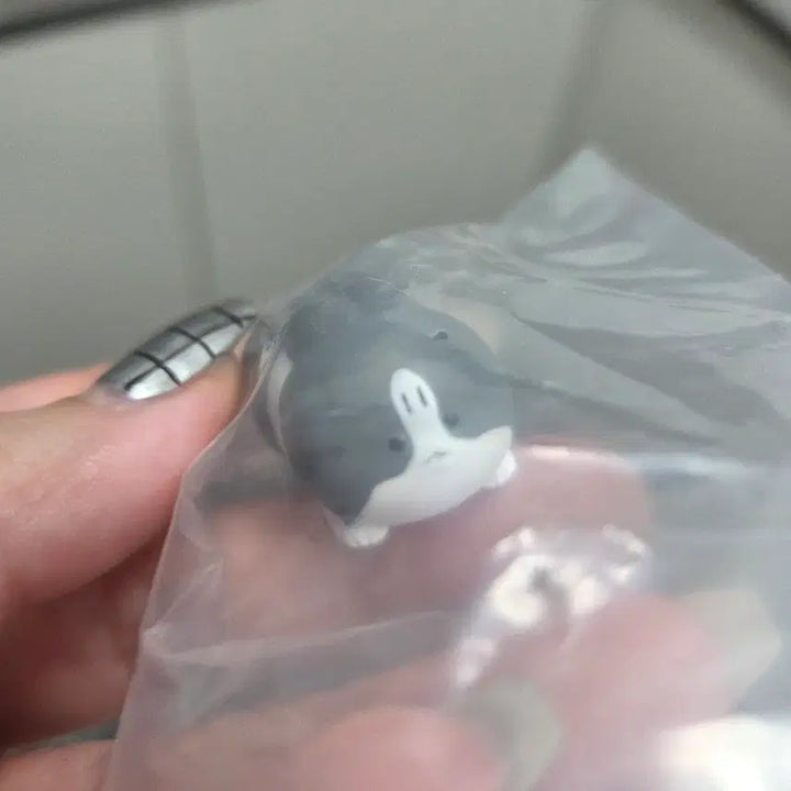 [SOLD OUT] [반다이] 화난 토끼 가챠 피규어