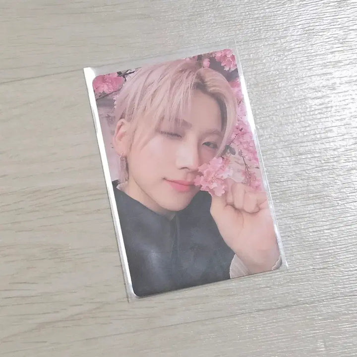 [BUNJANG] ENHYPEN YUKI AKARI Standard Photocard / 앤팀 유카 유키아카리 스탠다드 포토카드 포카 양도