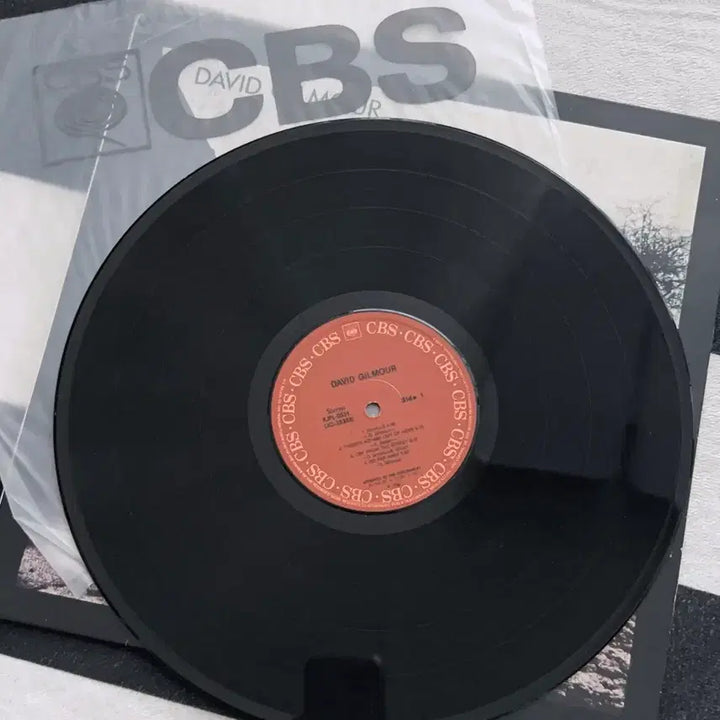 [BUNJANG] David Gilmour LP / DAVID GILMOUR lp