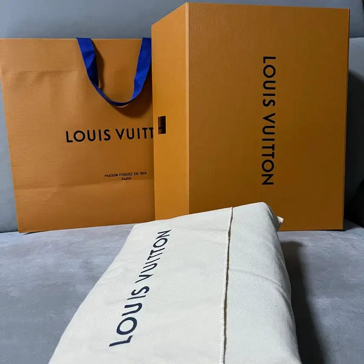 [BUNJANG] Louis Vuitton Toilet 26 Clutch Bag / [새상품] 루이비통 토일렛26 클러치백