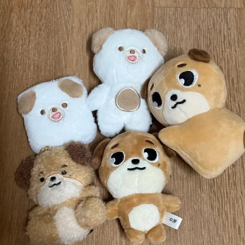 [BUNJANG] Day6 Dowoon Denimalz Petite Doll MD Bundle Set / 데이식스 도운 / 데니멀즈 쁘띠멀즈 돈 md 정리 원가이하양도 윤도운