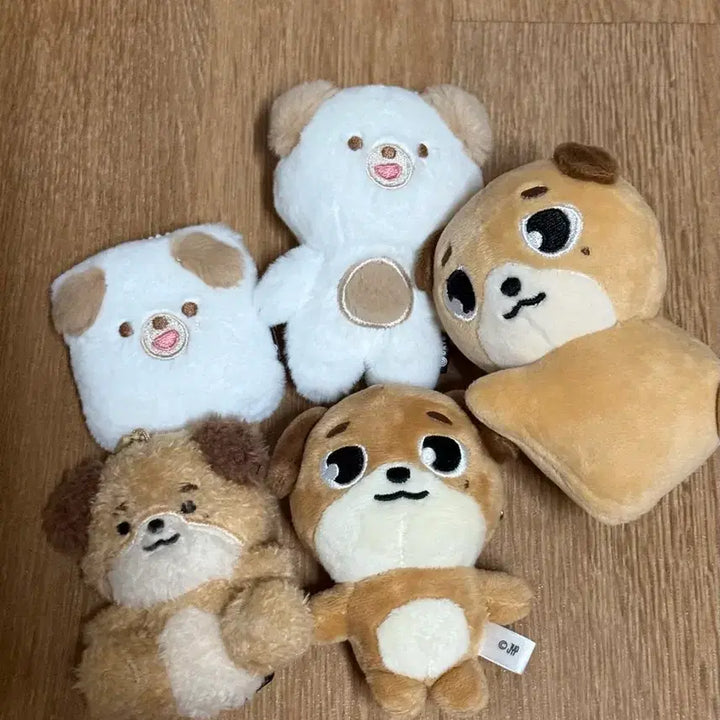 [BUNJANG] Day6 Dowoon Denimalz Petite Doll MD Bundle Set / 데이식스 도운 / 데니멀즈 쁘띠멀즈 돈 md 정리 원가이하양도 윤도운