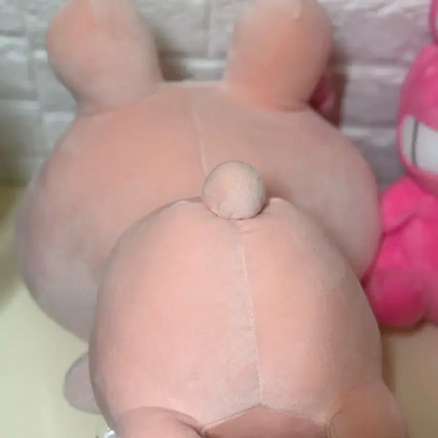 [BUNJANG] Asamimi-chan Lying Doll 38cm / 아사미미짱 라잉 38cm 중형인형 / 딱 1개