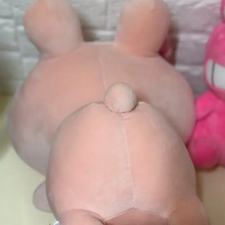 [BUNJANG] Asamimi-chan Lying Doll 38cm / 아사미미짱 라잉 38cm 중형인형 / 딱 1개