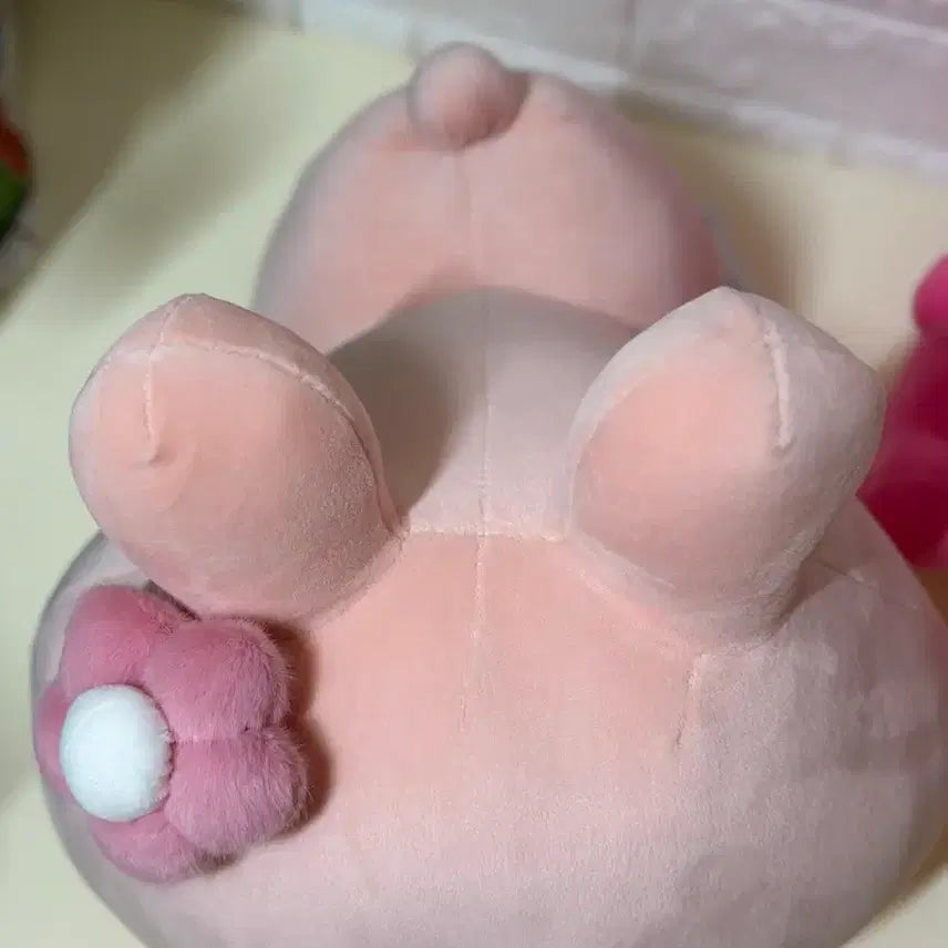 [BUNJANG] Asamimi-chan Lying Doll 38cm / 아사미미짱 라잉 38cm 중형인형 / 딱 1개