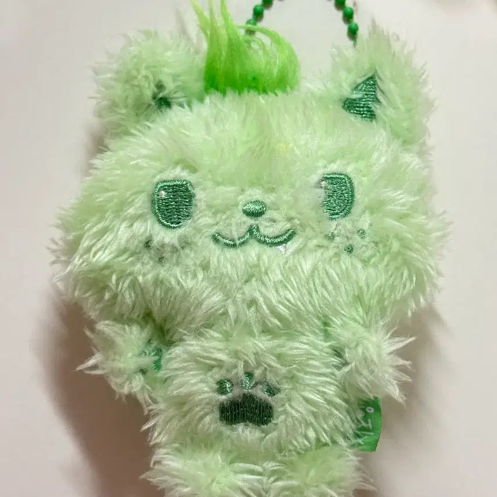 [BUNJANG] NCT WISH Sion Green Photocard Split Set / 엔시티 위시 컬러돌 시오닝 초록 그린 양도 포카 분철