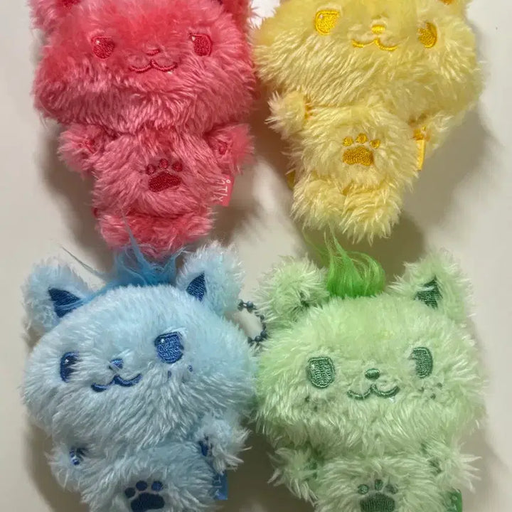 [BUNJANG] NCT WISH Sion Green Photocard Split Set / 엔시티 위시 컬러돌 시오닝 초록 그린 양도 포카 분철