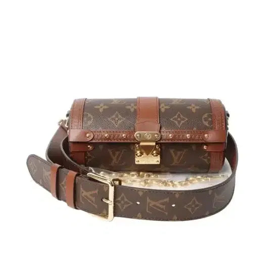 [BUNJANG] Louis Vuitton Papillon Trunk Bag / 럭셜 루이비통 빠삐용 트렁크