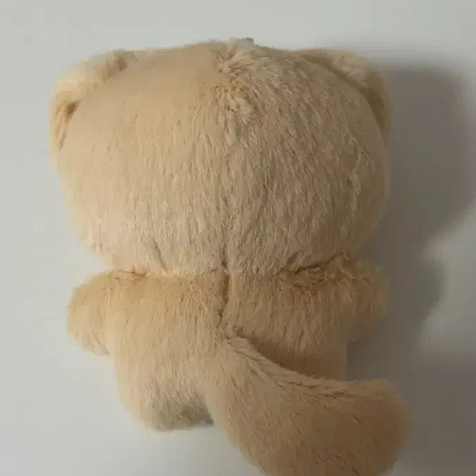 [BUNJANG] BOYNEXTDOOR Jaehyun Doll / 펑진위 인형 멍진위 베이온 인더엑스 보플