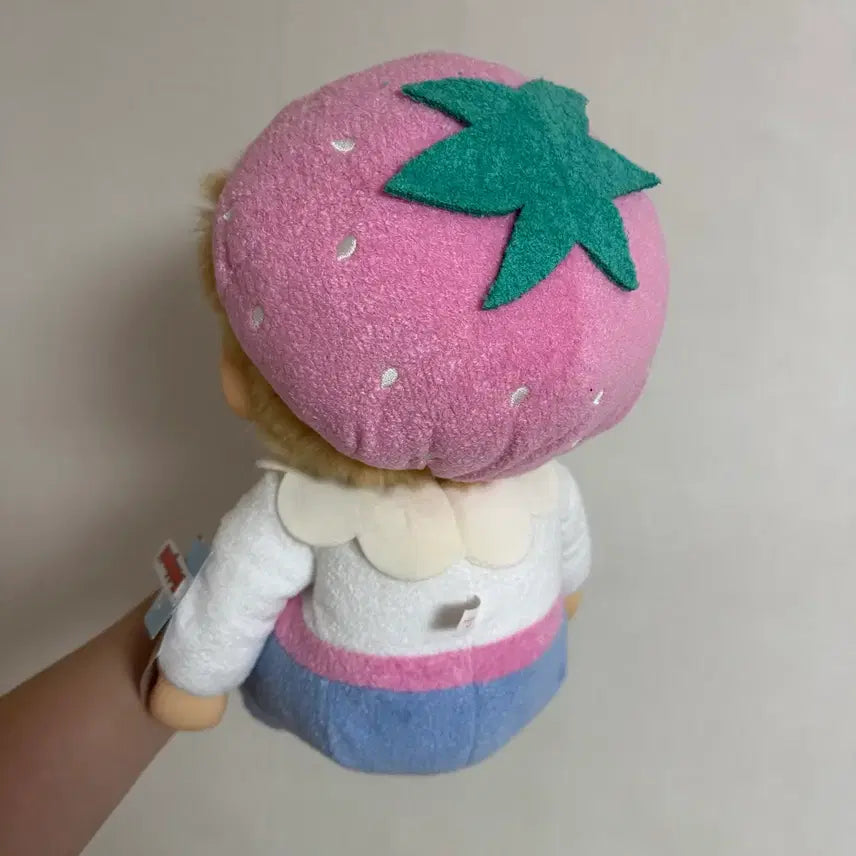 [BUNJANG] Monchhichi Sweet Sugar Soft L Strawberry Boy Doll / 몬치치 스위트 슈가 소프트 L 딸기보이