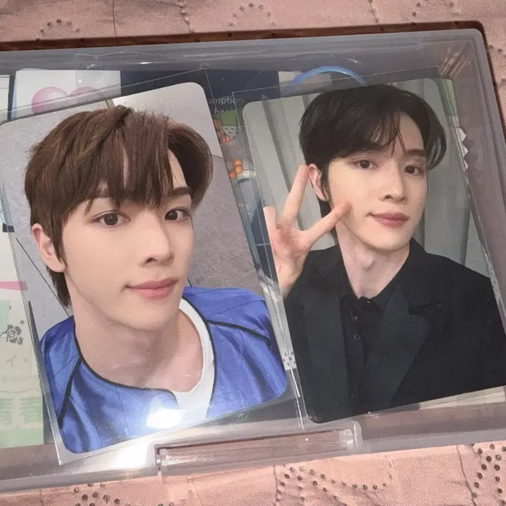 [BUNJANG] RIIZE Shotaro POB Bundle Set / 라이즈 성찬 포카 일괄