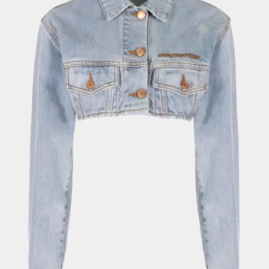 [BUNJANG] BADBLOOD Cropped Denim Jacket / BADBLOOD 크롭 데님 청자켓