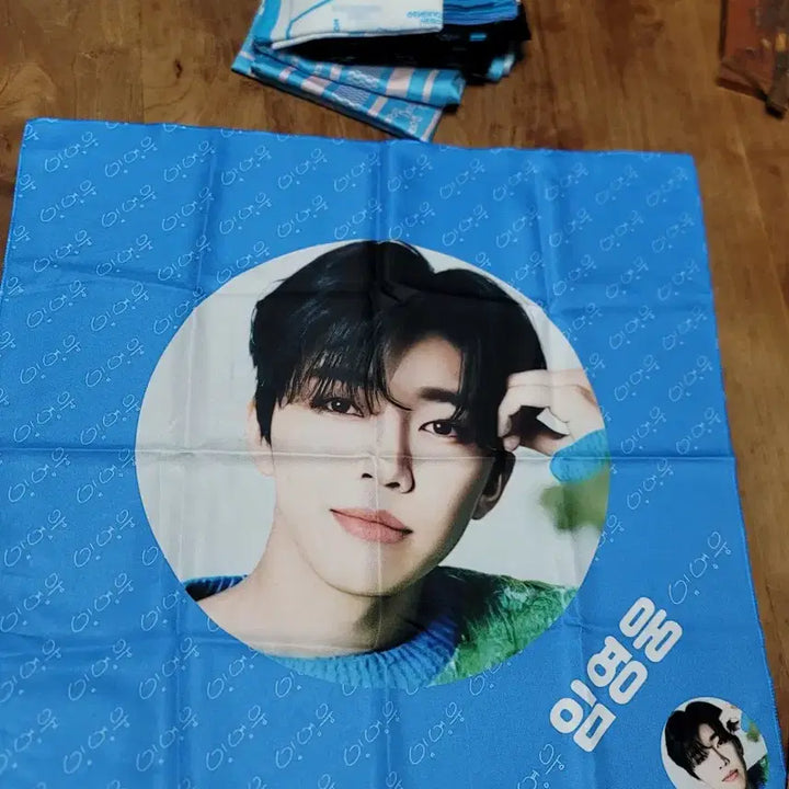 [SOLD OUT] 임영웅 26콘서트 방석 쿠션 9900원
