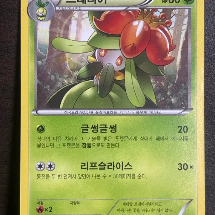 [BUNJANG] XY Ancient Pokemon Card Dressier / xy 고대 포켓몬 카드 드레디어
