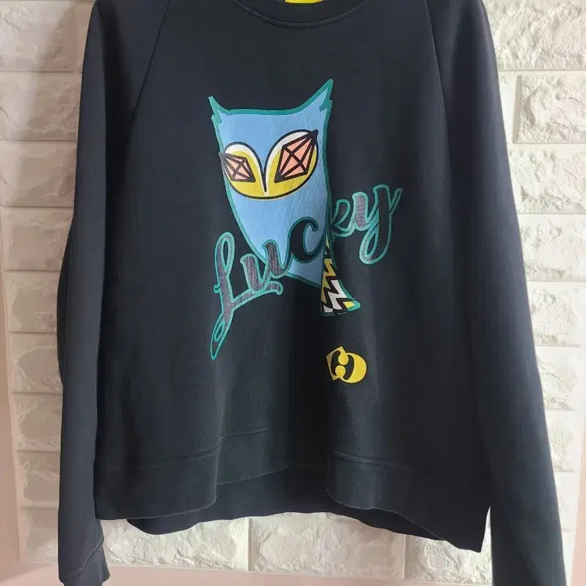 [BUNJANG] Lucky Chouette Black Sweatshirt / 럭키슈에뜨 블랙 맨투맨
